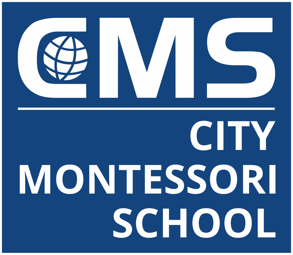 City Montessori School